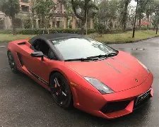 正式公布,年全球速度,轮滑大赛选,333体育网址,333体育平台,333体育官网app,333体育官网登录