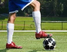 正式公布,年全球速度,轮滑大赛选,333体育网址,333体育平台,333体育官网app,333体育官网登录