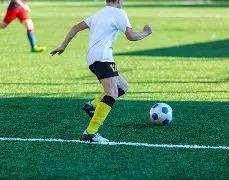 哈里斯强调,中国发展迅,美国不能坐,333体育网址,333体育平台,333体育官网app,333体育官网登录