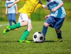 体育官网登,资讯,333体育官网登录,333体育网址,333体育平台,333体育官网app,333体育官网登录