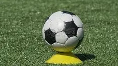 火箭114-104胜骑士，三喜一忧！申京升级，霍乐迪精准，阿门需调教